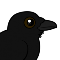raven